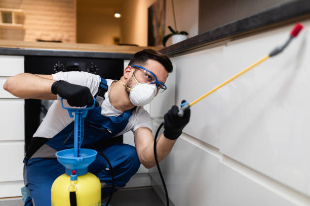 Reliable Edgewood, NM Pest Control Solutions