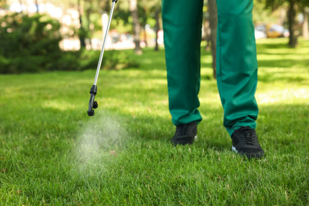 Best Residential Pest Control  in Edgewood, NM
