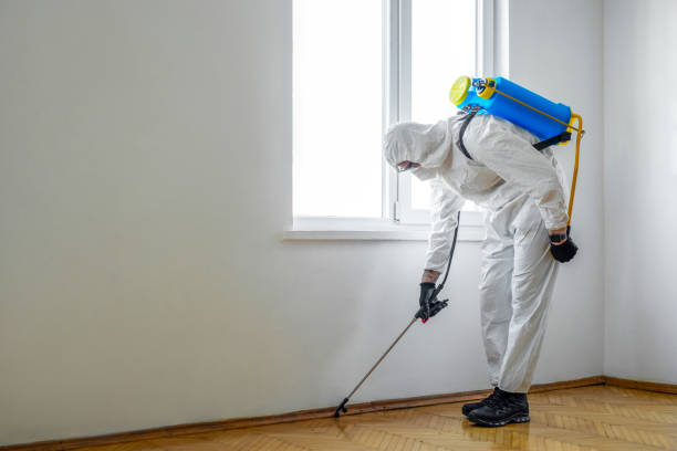 Best Pest Control Near Me  in Edgewood, NM